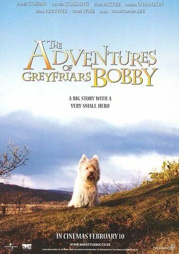 Greyfrays Bobbining Sarguzashtlari / Kichkina Bobby 2005 HD Uzbek tilida Tarjima kino skachat