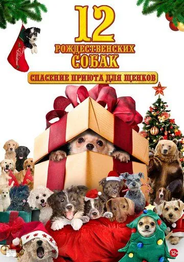 12 Rojdestvo itlari 2 / Rojdestoning 12 iti 2 / Yangi yilning 12 itlari 2 2012 HD Uzbek tilida Tarjima kino skachat tas-ix